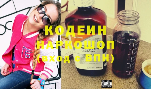 шишки Ельня