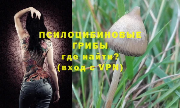 сатива Михайловка