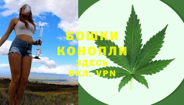 дмт Михайловск