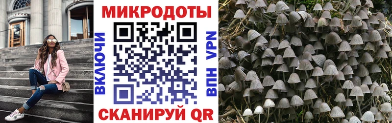 Галлюциногенные грибы Psilocybe  что такое наркотик  KRAKEN ТОР  Нариманов 